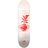 Verb Vase Series Skateboard Deck - Rose Water-ScootWorld.de